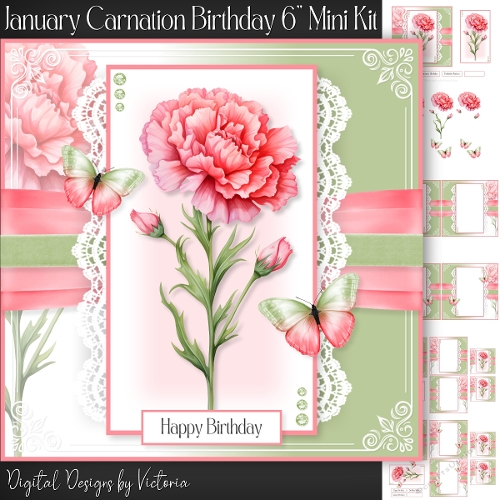 January Carnation Birthday