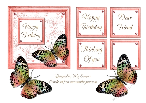 Happy Birthday Soft Pink Framed Butterfly