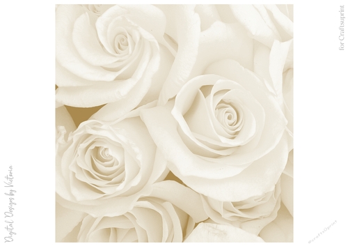 Soft Gold Large Rose 8x8 Paper