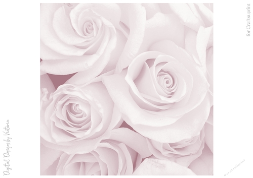 Soft Lilac Large Rose 8x8 Paper