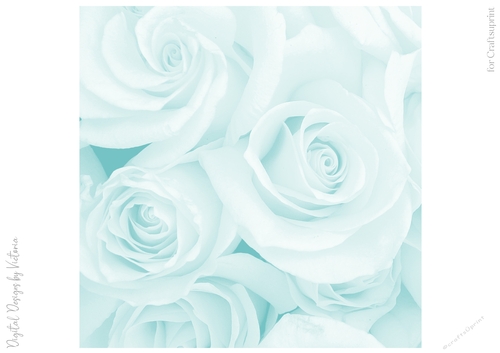 Soft China Blue Large Rose 8x8 Paper