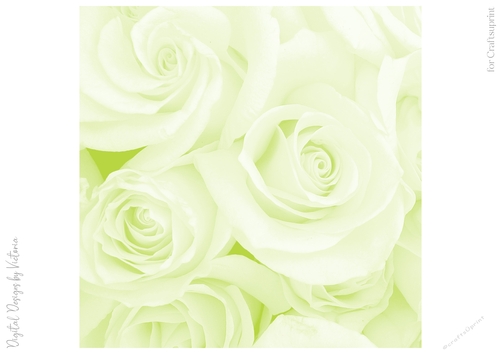 Soft Apple Green Large Rose 8x8 Paper