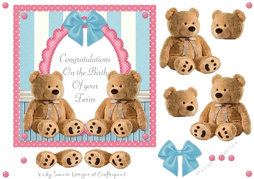 Twin Baby Boy and Girl Teddy Bear