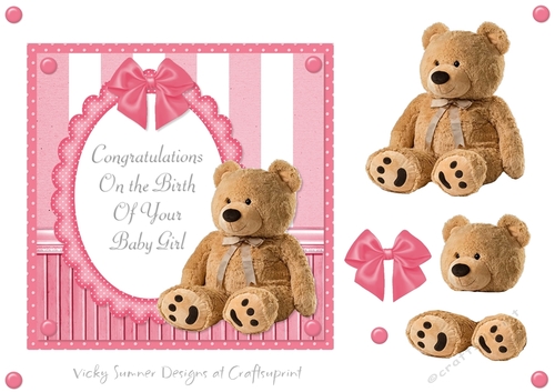 Baby Girl Teddy Bear