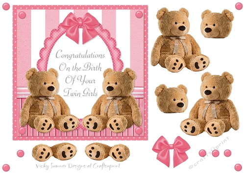 Twin Baby Girl Teddy Bear