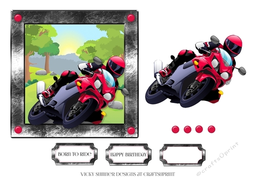 Born to Ride Red Motorbike