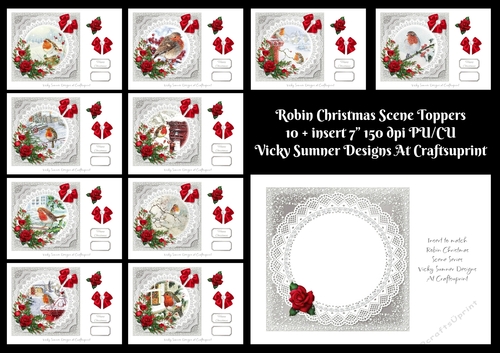 Robin Christmas Scene Toppers set of 10 + Insert
