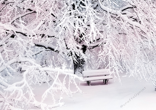 Pink and Blue Winter Scene 12