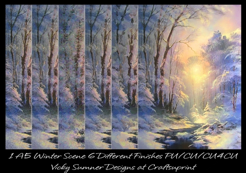 Winter Scene A5 6 Different Finishes