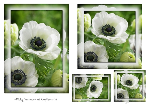 Floral Toppers and Tags 34