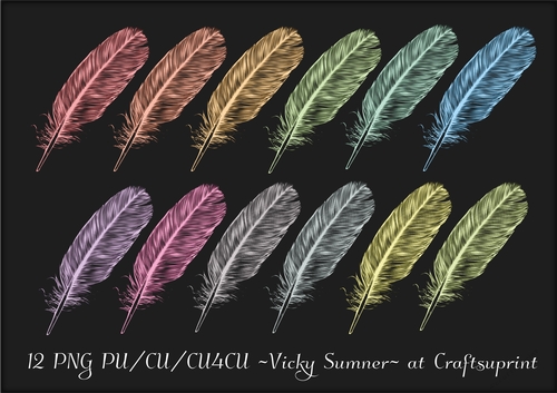 Spring Feather PNG