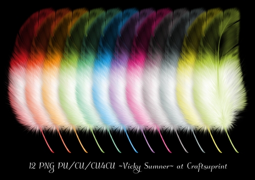 Spring Real Feather