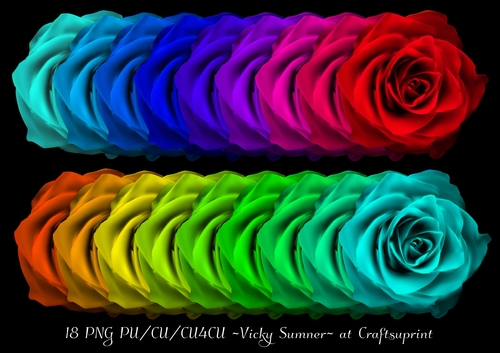 Rainbow Roses