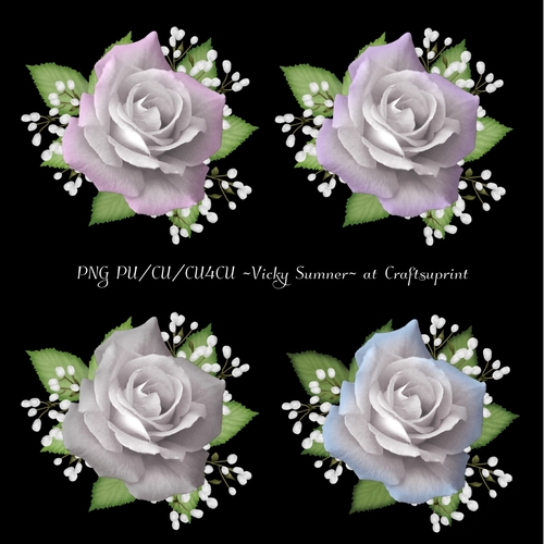 Soft Rose Vignette