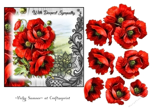 Poppy 4