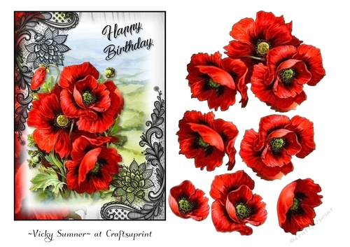 Poppy 6