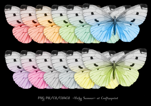 Spring Butterfly