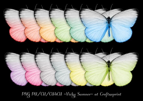 Spring Butterfly 2