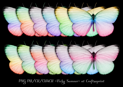 Spring Rainbow  Butterfly 