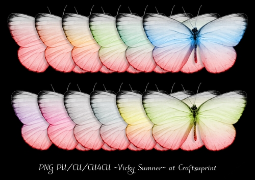 Spring Graduated Butterfly 