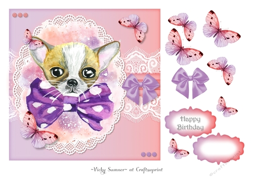 Chihuahua and Butterflies
