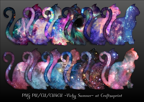 Cosmic Cat PNG