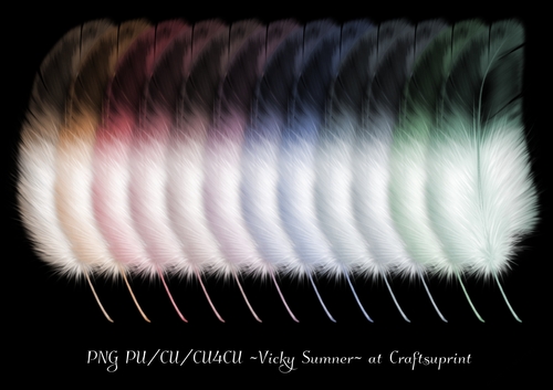 Soft Spring Real Feather