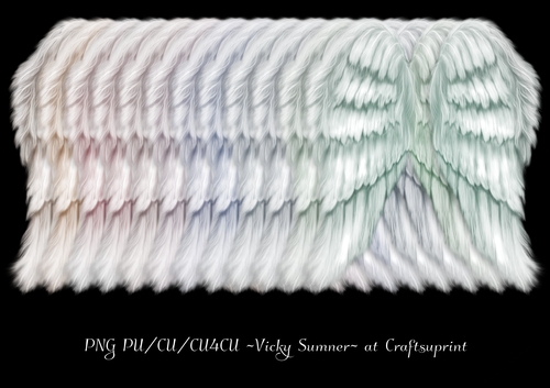 Soft Spring Wings
