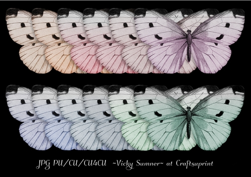 Soft Spring Butterfly 2