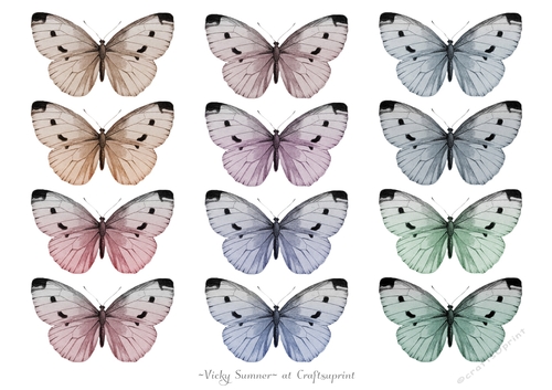 Soft Spring Butterflies JPG