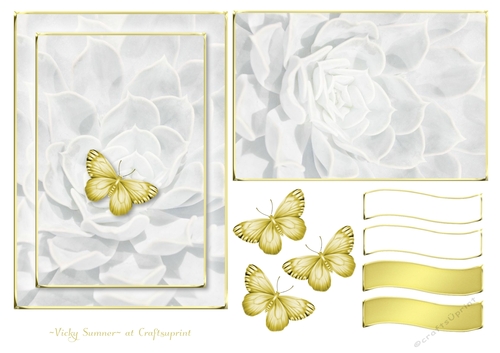 Serene White and Gold 4