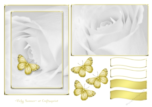 Serene White and Gold 5