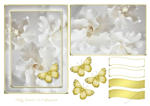Serene White and Gold 6