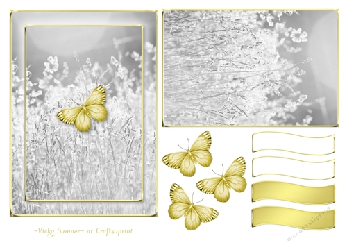 Serene White and Gold 7