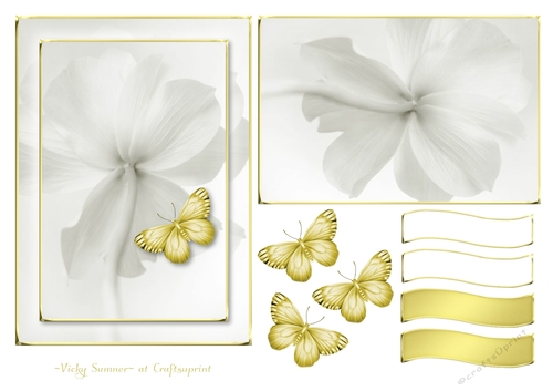 Serene White and Gold 9