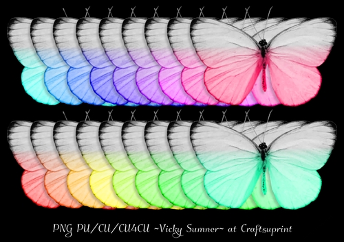 Rainbow Butterfly