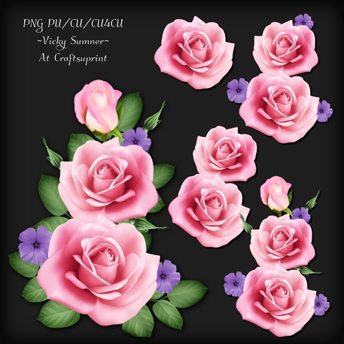 Rose Cluster 1