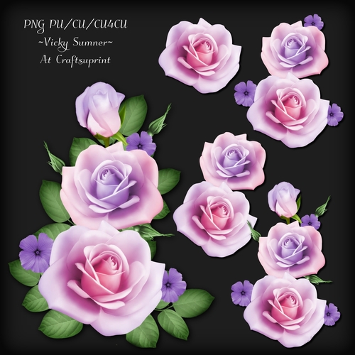 Rose Cluster 2