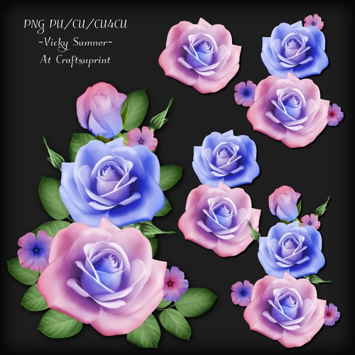 Rose Cluster 3