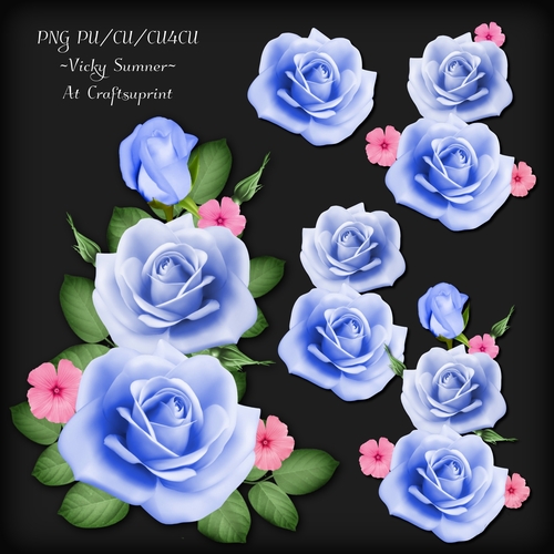 Rose Cluster 4