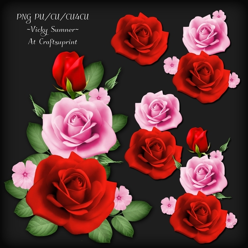 Rose Cluster 6