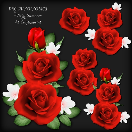 Rose Cluster 7