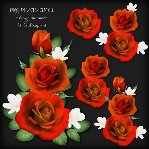 Rose Cluster 8