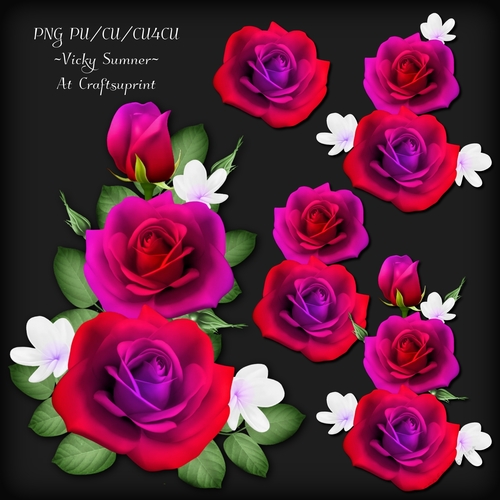 Rose Cluster 9