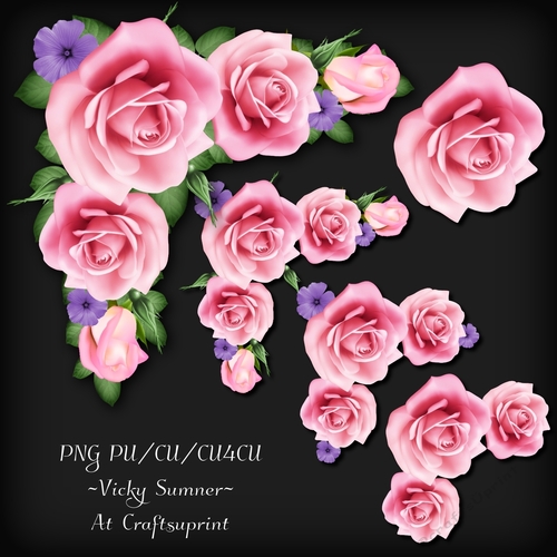 Rose Corner Cluster 1