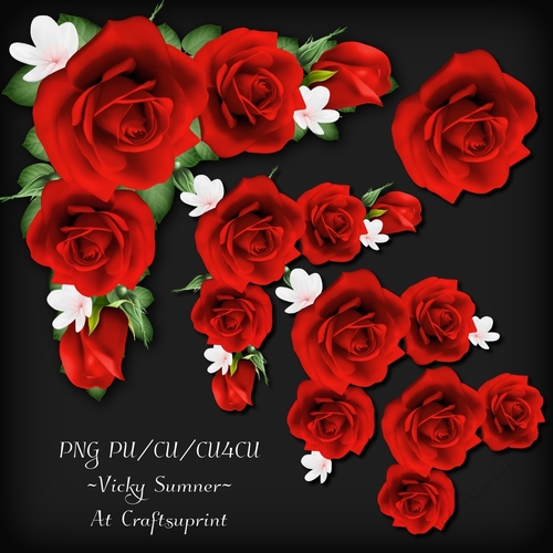 Rose Corner Cluster 7