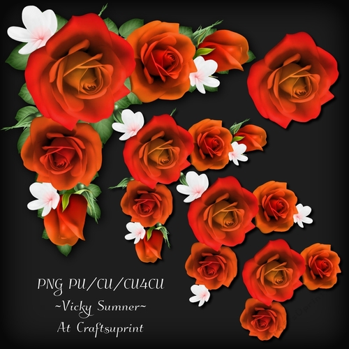 Rose Corner Cluster 8