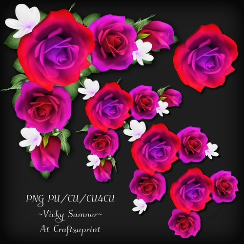 Rose Corner Cluster 9