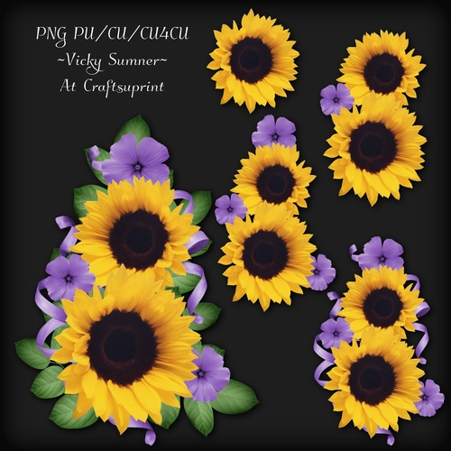 Sunflower Cluster 1