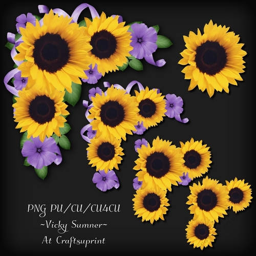 Sunflower Corner Cluster 1
